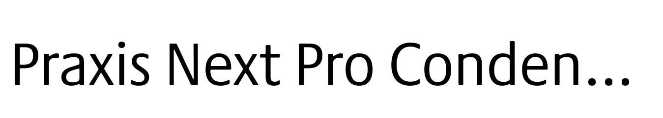 Praxis Next Pro Condensed Regular